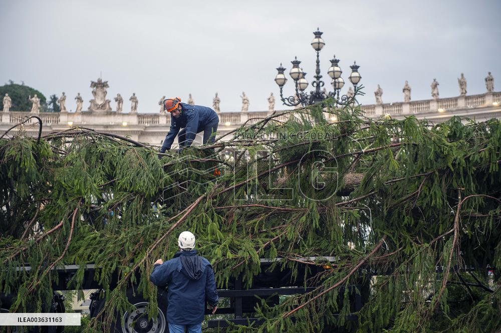 Christmas Tree Installation in Place Saint-Pierre - Vatican