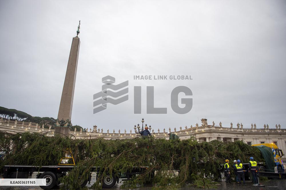 Christmas Tree Installation in Place Saint-Pierre - Vatican