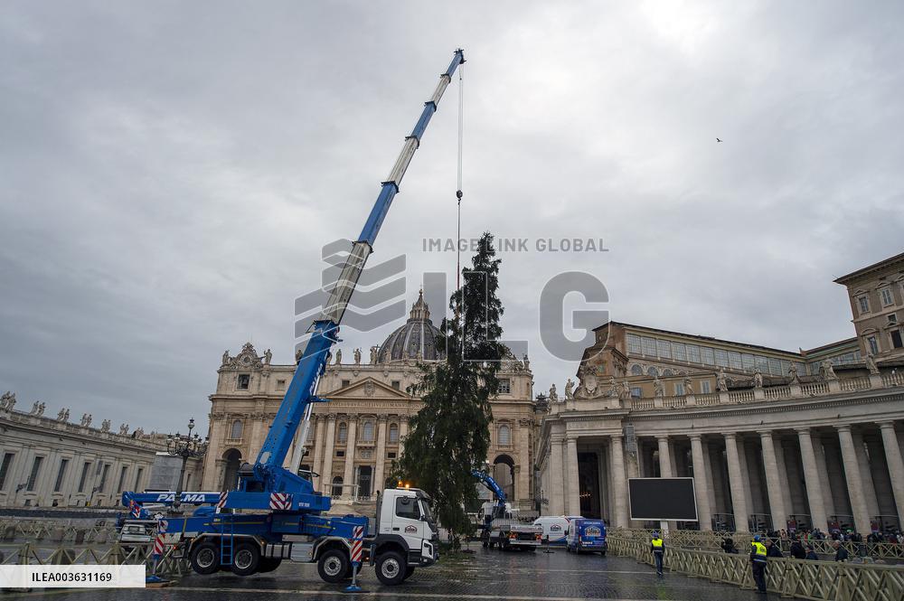 Christmas Tree Installation in Place Saint-Pierre - Vatican