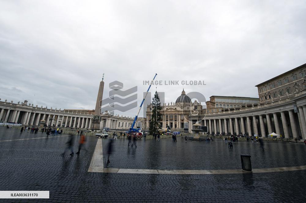 Christmas Tree Installation in Place Saint-Pierre - Vatican