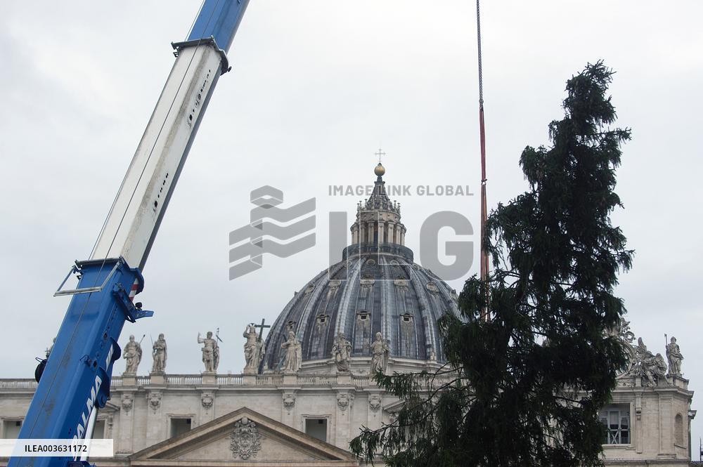 Christmas Tree Installation in Place Saint-Pierre - Vatican