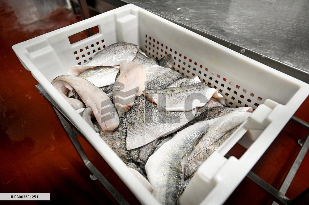 Seafood processing production complex in ZaporizhzhiaSeafood processing production complex in Zaporizhzhia