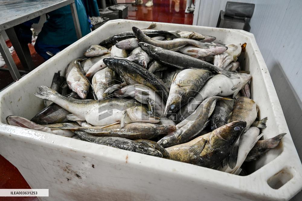 Seafood processing production complex in ZaporizhzhiaSeafood processing production complex in Zaporizhzhia