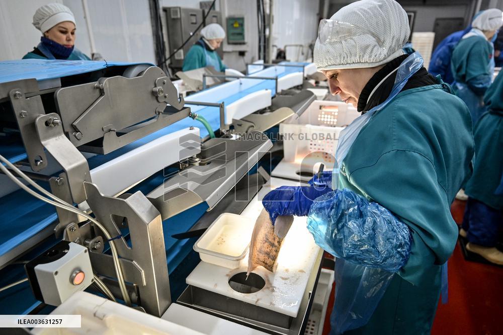 Seafood processing production complex in ZaporizhzhiaSeafood processing production complex in Zaporizhzhia