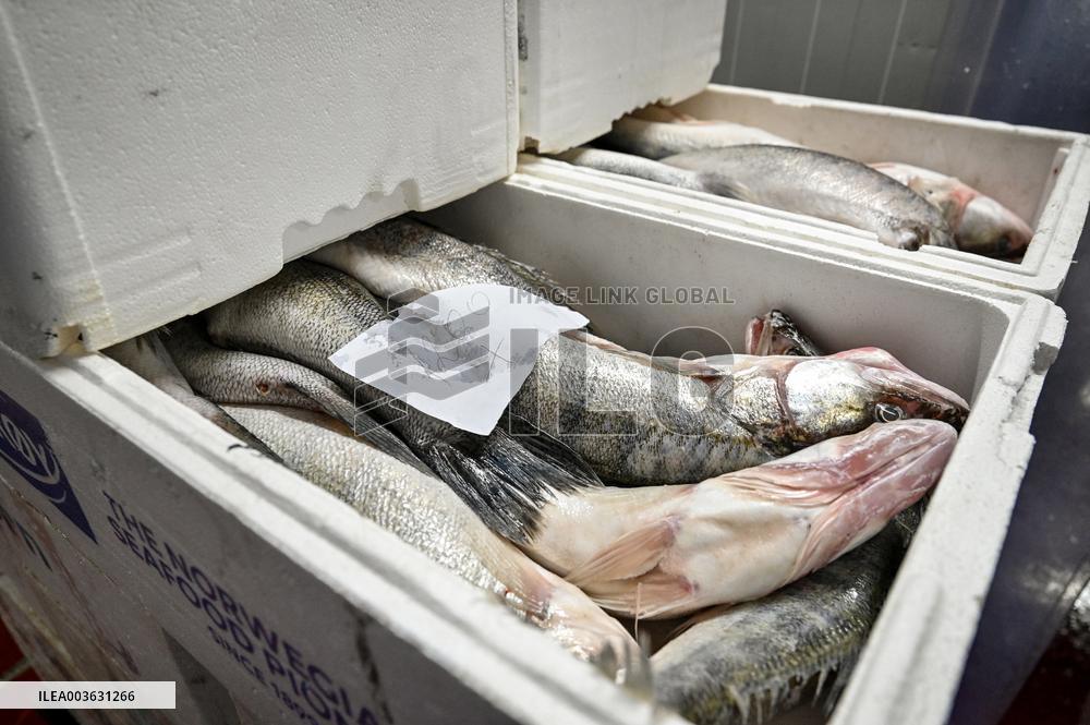 Seafood processing production complex in ZaporizhzhiaSeafood processing production complex in Zaporizhzhia