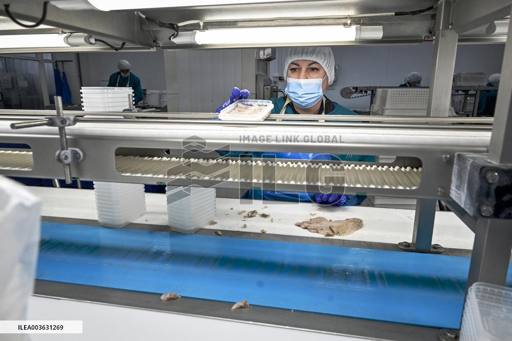 Seafood processing production complex in ZaporizhzhiaSeafood processing production complex in Zaporizhzhia