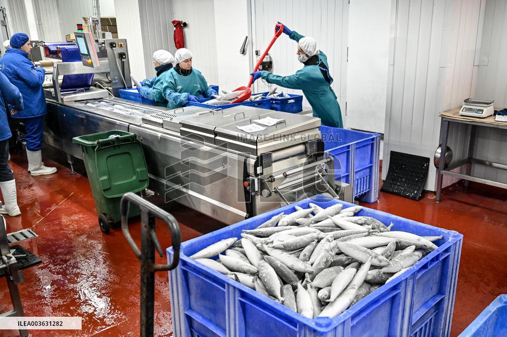 Seafood processing production complex in ZaporizhzhiaSeafood processing production complex in Zaporizhzhia