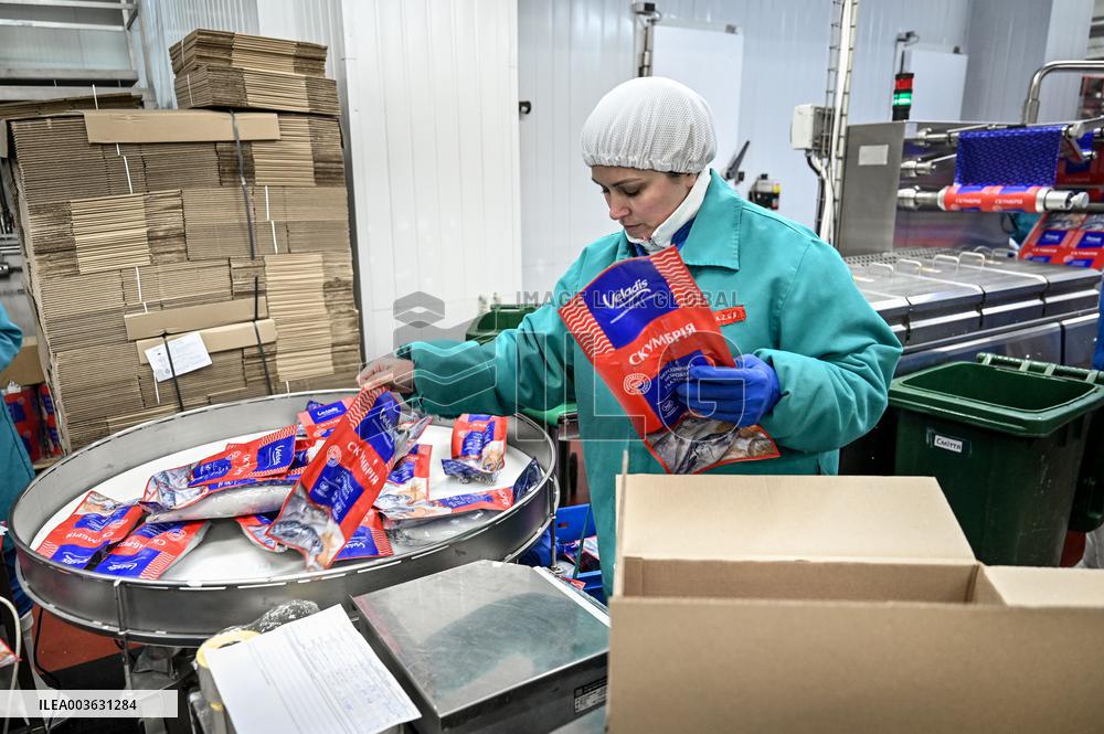Seafood processing production complex in ZaporizhzhiaSeafood processing production complex in Zaporizhzhia
