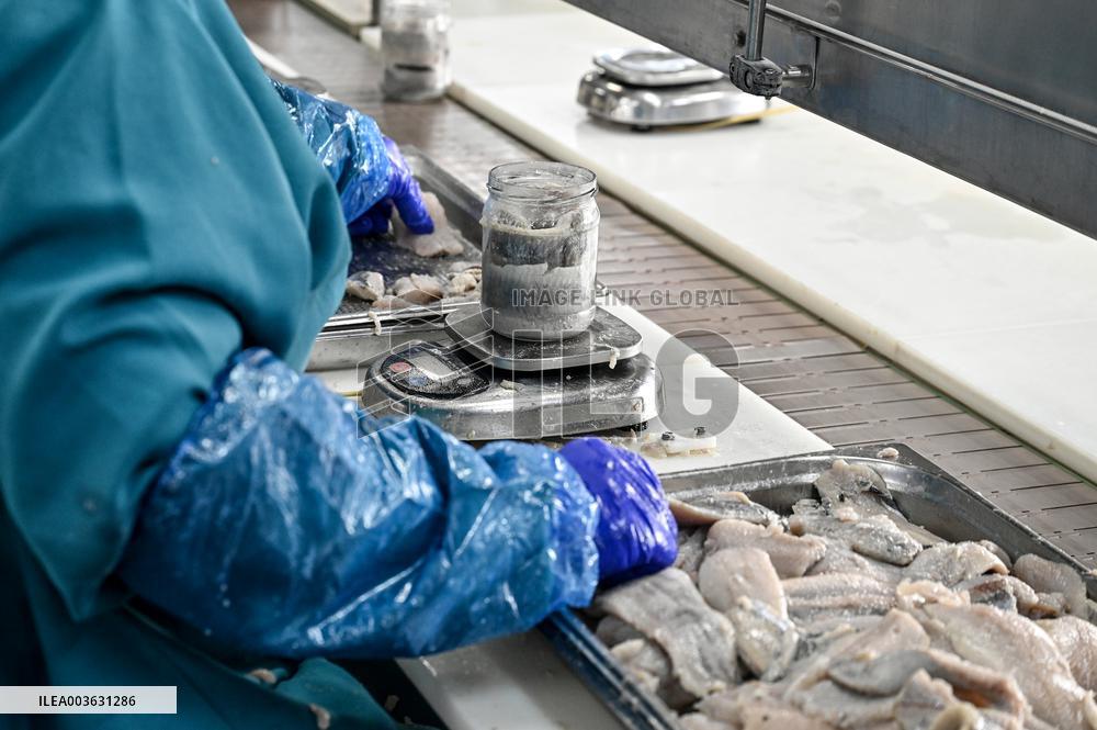 Seafood processing production complex in ZaporizhzhiaSeafood processing production complex in Zaporizhzhia