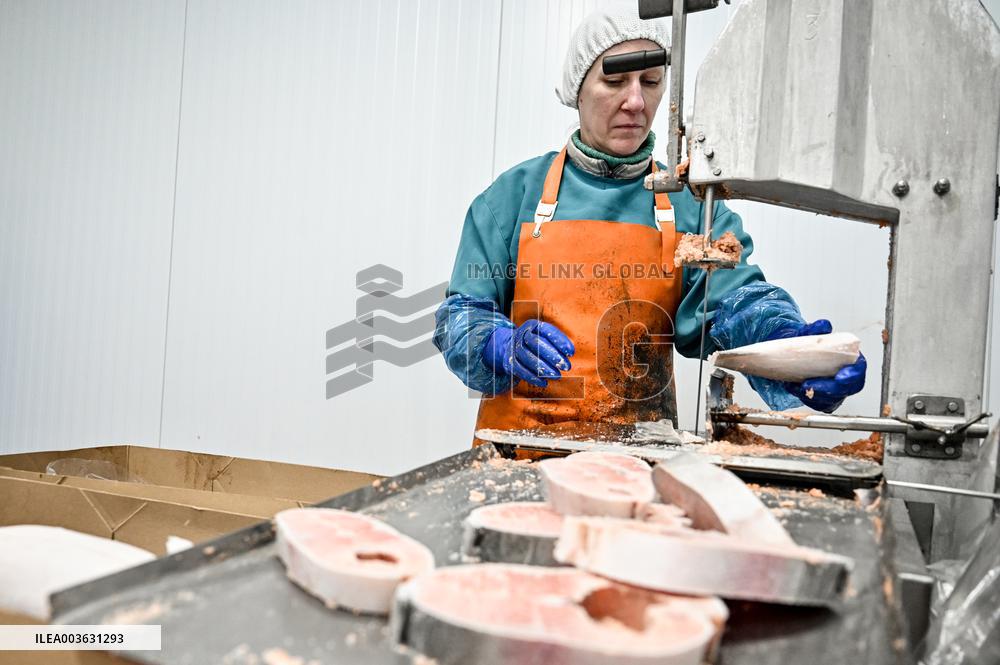 Seafood processing production complex in ZaporizhzhiaSeafood processing production complex in Zaporizhzhia