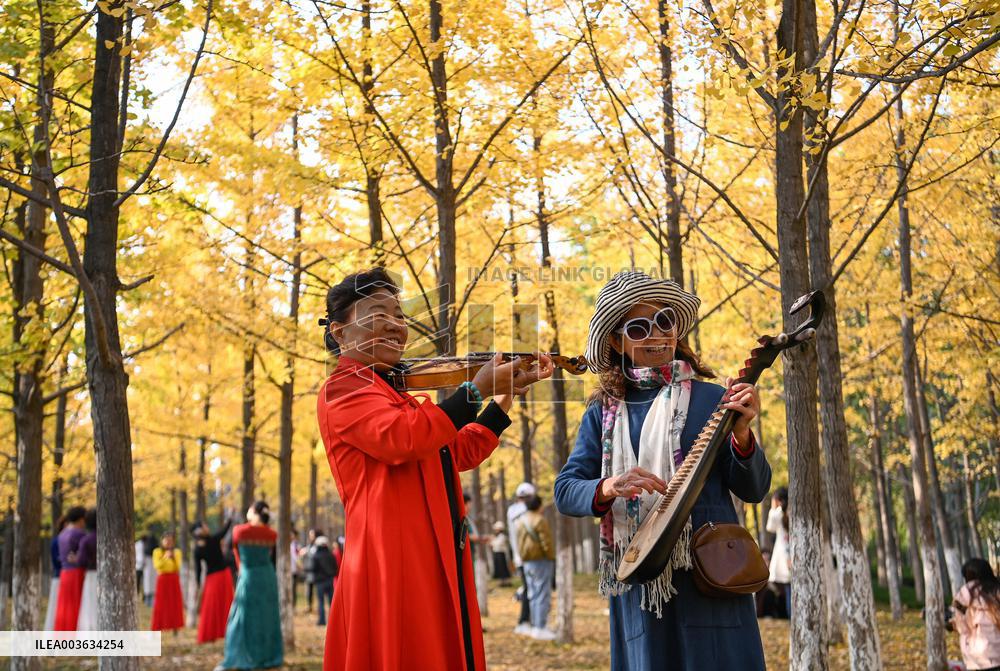 Autumn Scenery - China