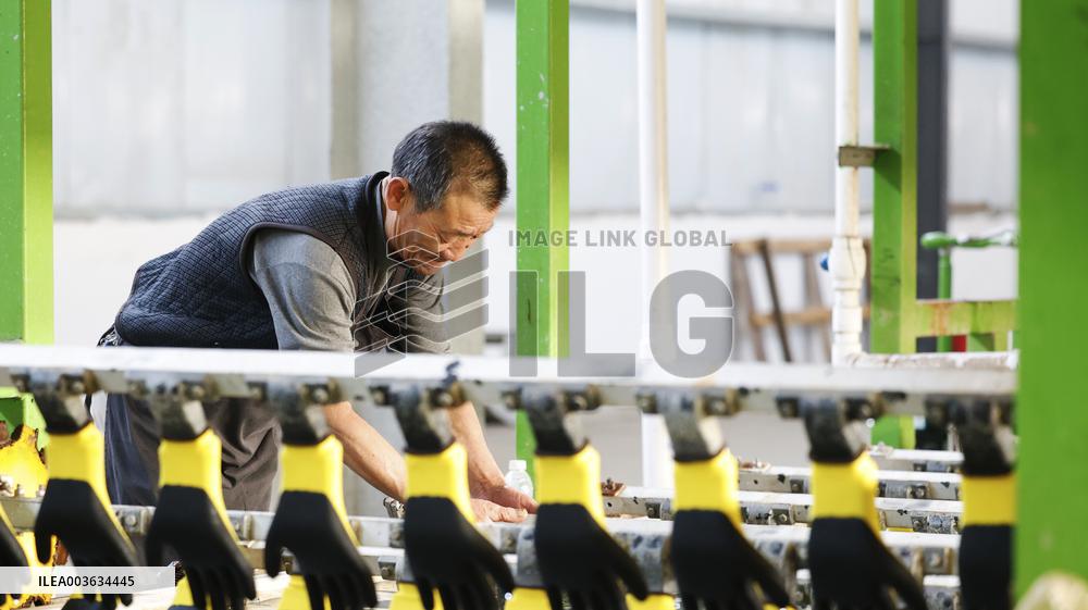 A Glove Processing Enterprise in Suqian