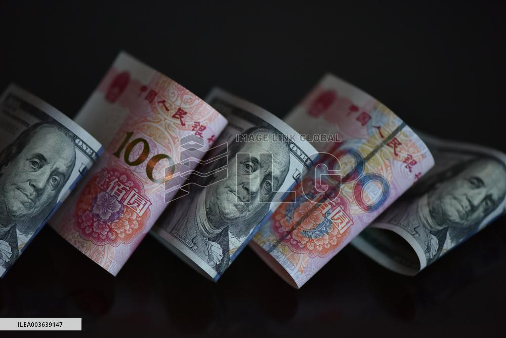 Usd RMB Exchange Rate