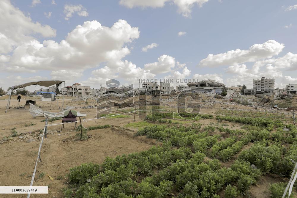 Daily life Of A Palestinian Farmer In The War