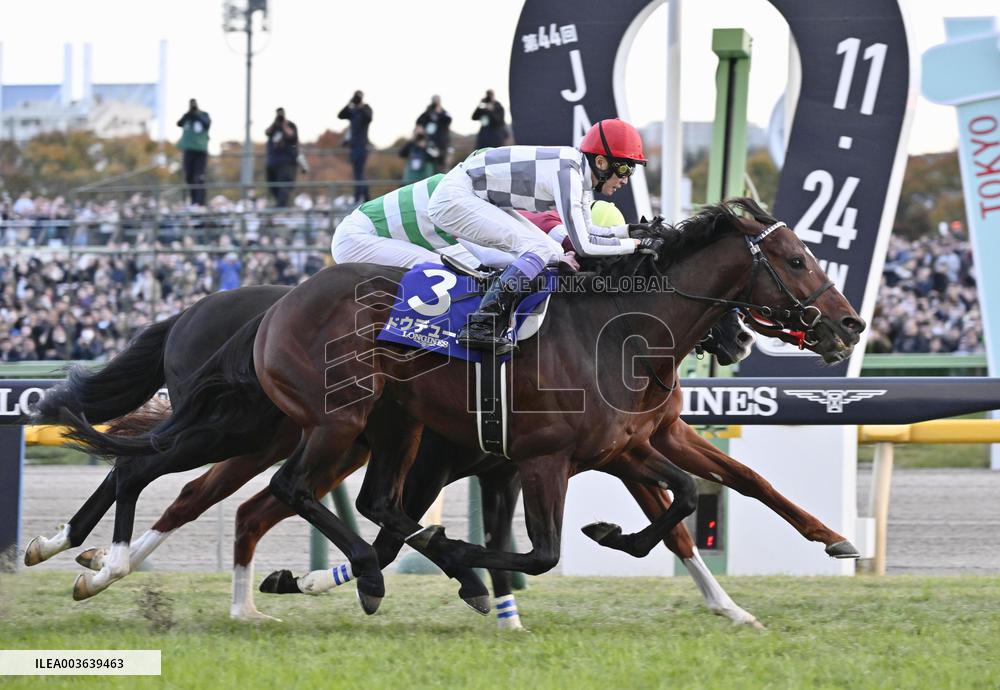 Horse racing: Japan Cup