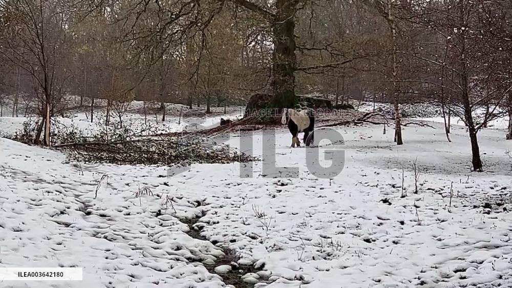 UK: Storm Bert Brings Heavy Snow To Large Parts Of Country 3