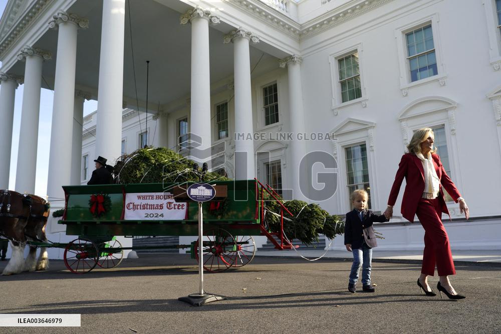 Jill Biden receives the Christmas Tree - Washington