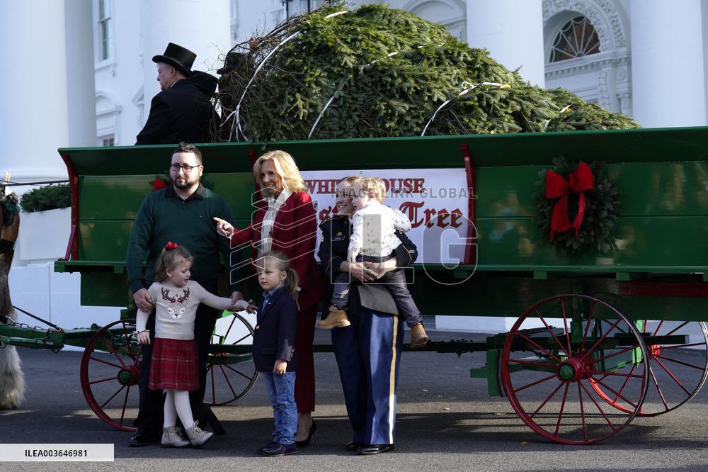 Jill Biden receives the Christmas Tree - Washington