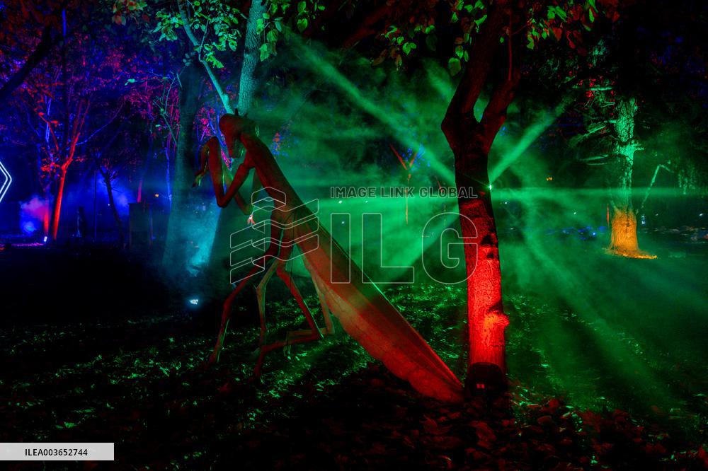 Naturaleza Encendida Light Show - Madrid