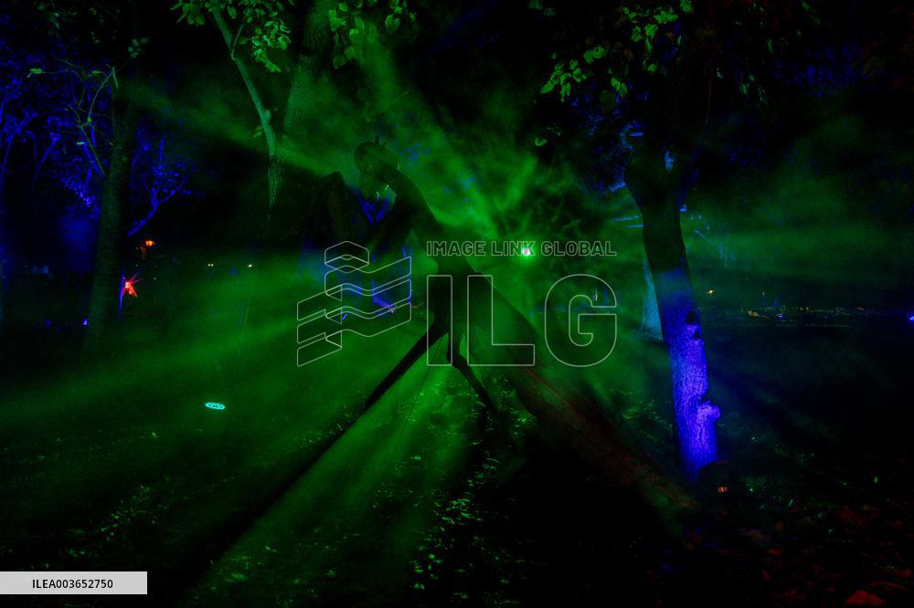 Naturaleza Encendida Light Show - Madrid