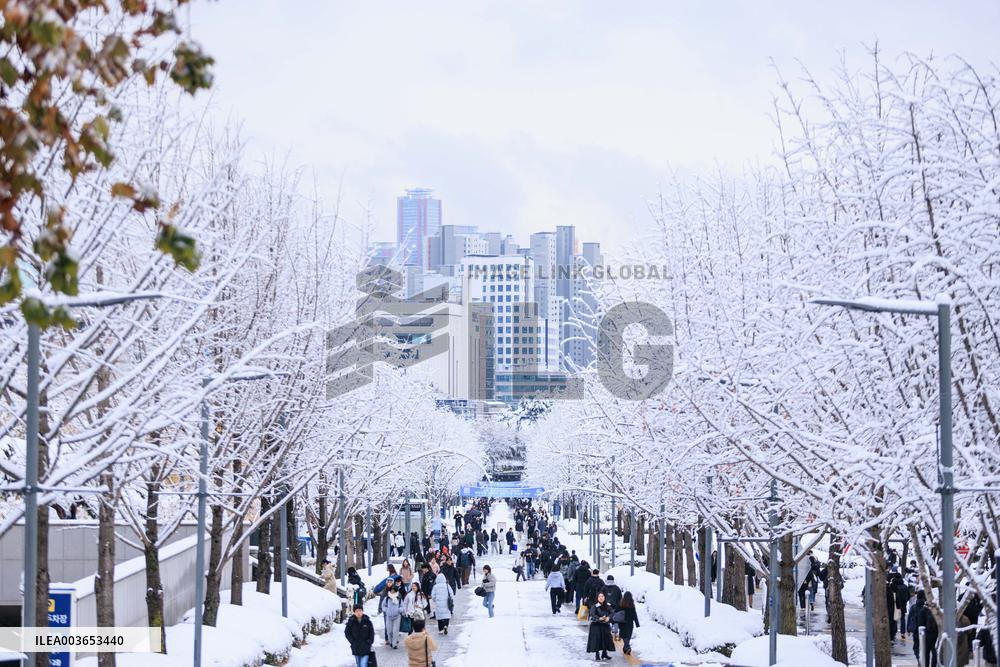 Seouls New Record First Snow - South Korea