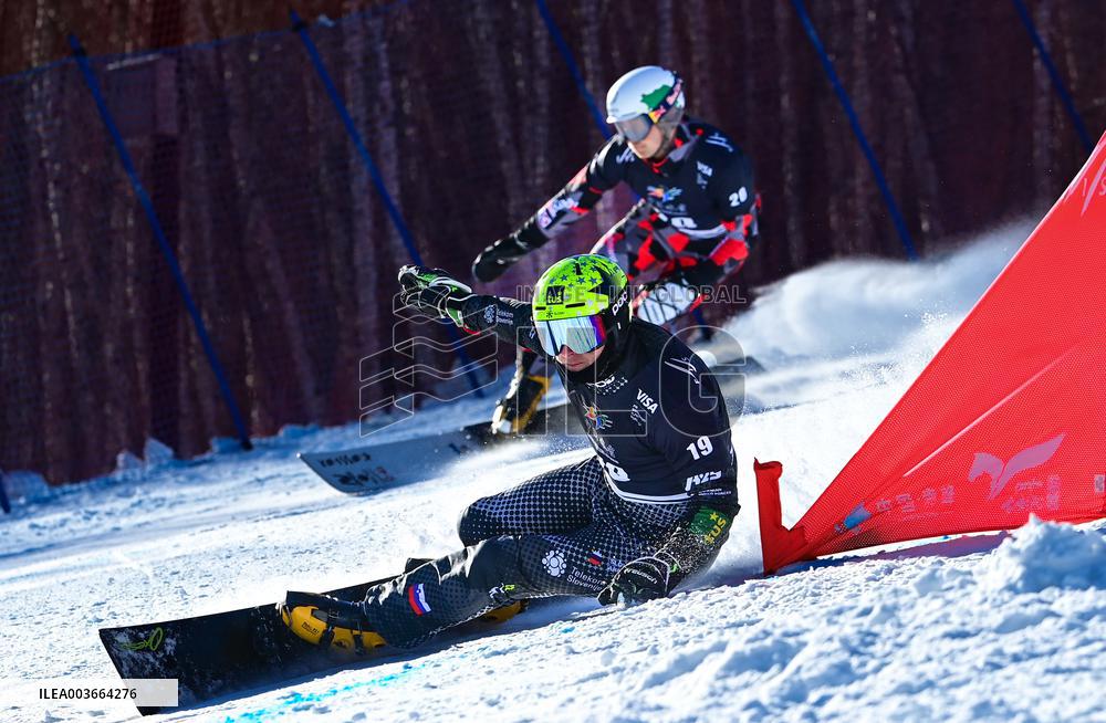 2024-2025 International Ski Federation Snowboarding Parallel Events World Cup