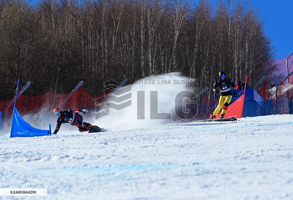 2024-2025 International Ski Federation Snowboarding Parallel Events World Cup