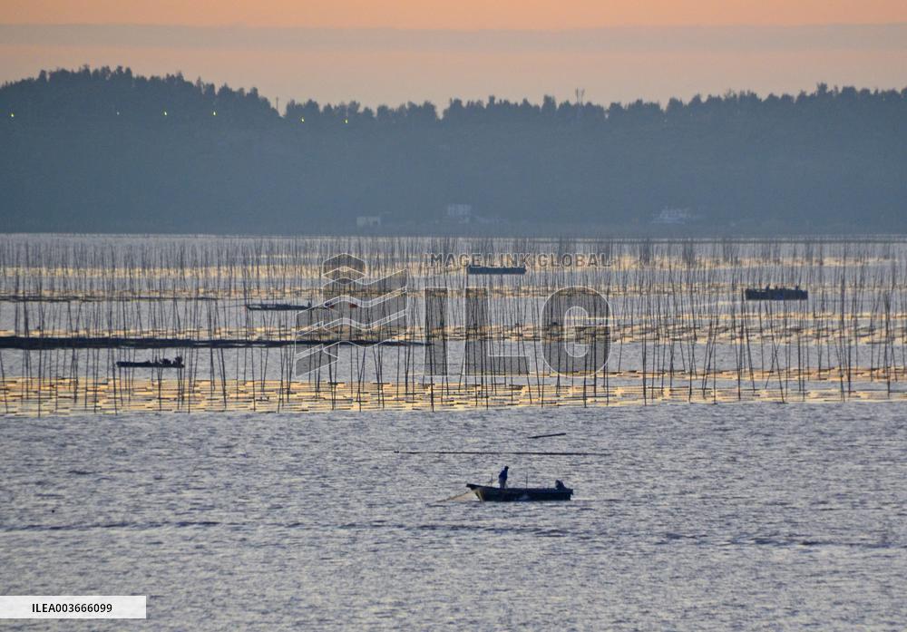 Winter Scenery - China