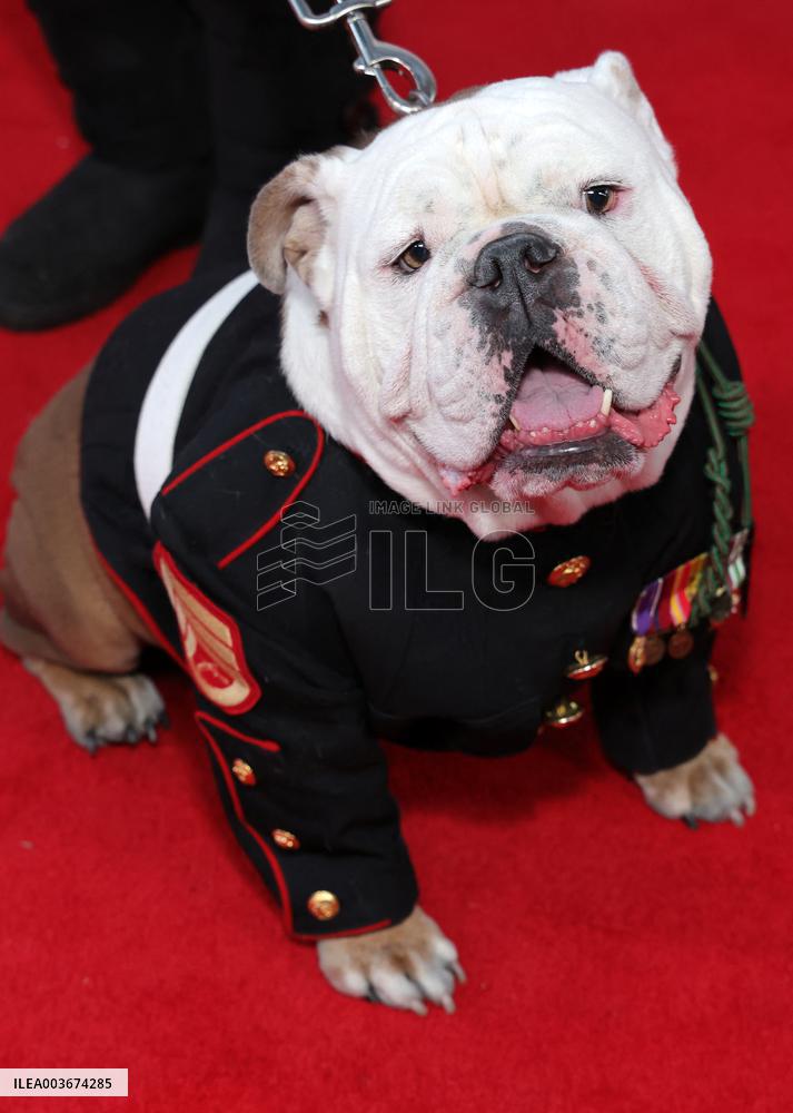 92nd Anniversary Of The Hollywood Christmas Parade Supporting Marine Toys For Tots - LA