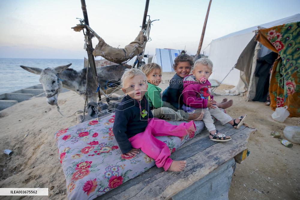 Displaced Palestinians in Deir al-Balah - Palestine