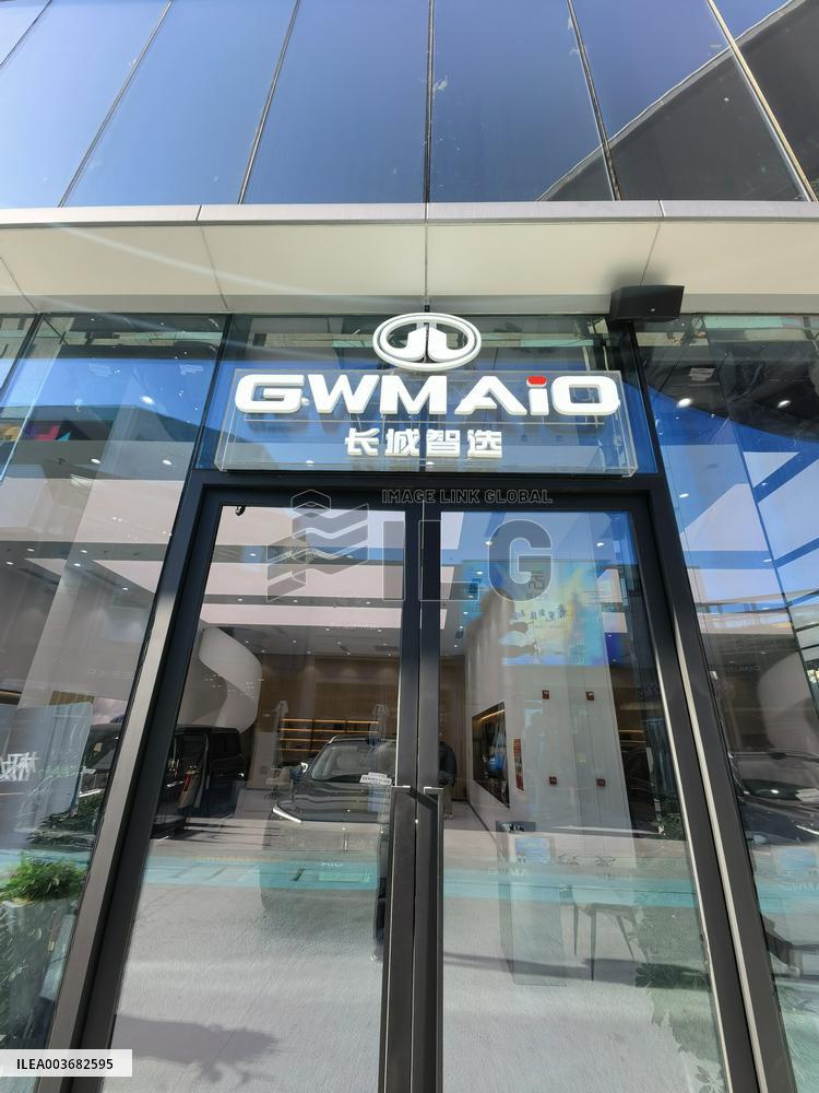 GWMAIO Car