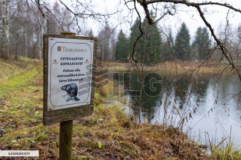 Papioru ponds struggling with beavers