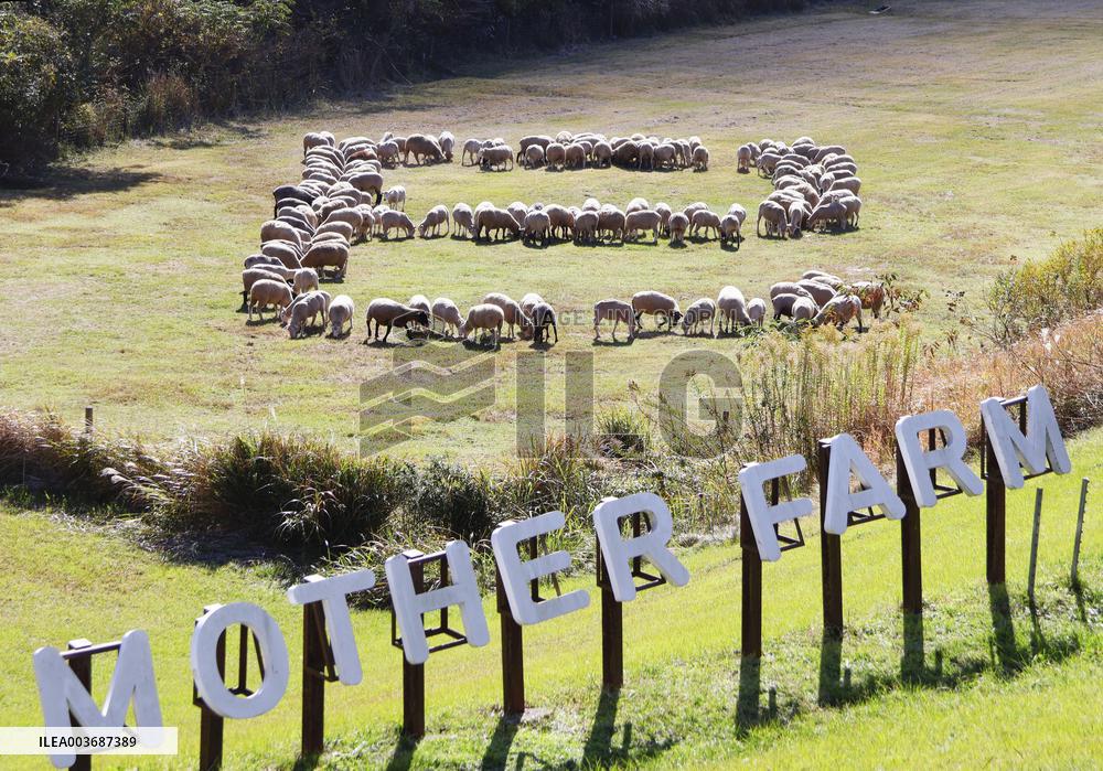 Sheep form Chinese character for snake