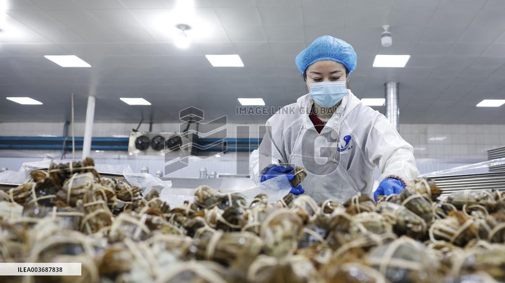 Crabs Export in Suqian