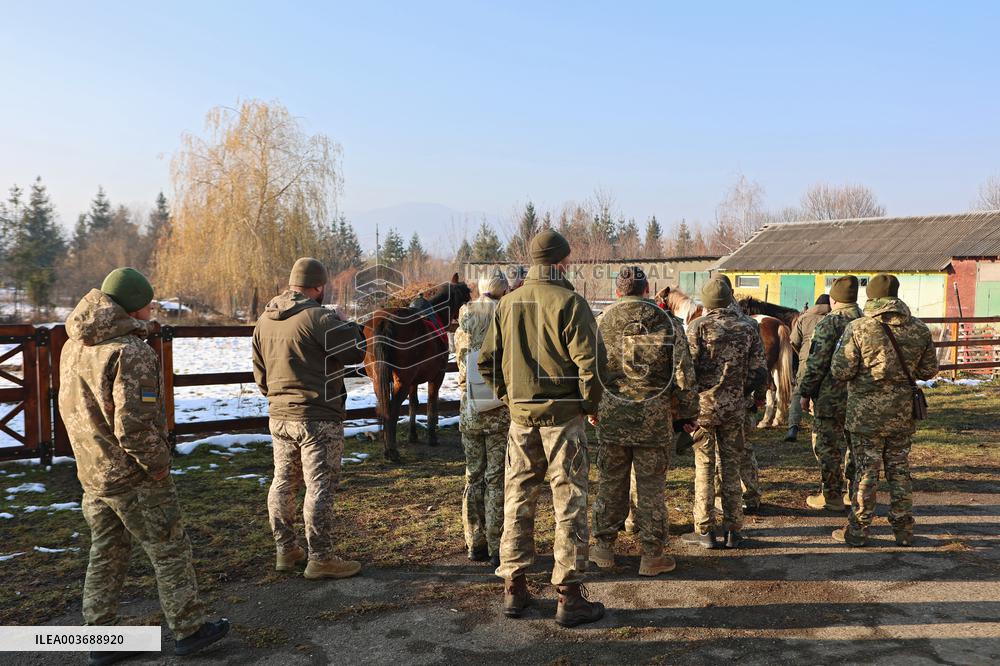 Hutsul ponies help with rehabilitation of Ukrainian military