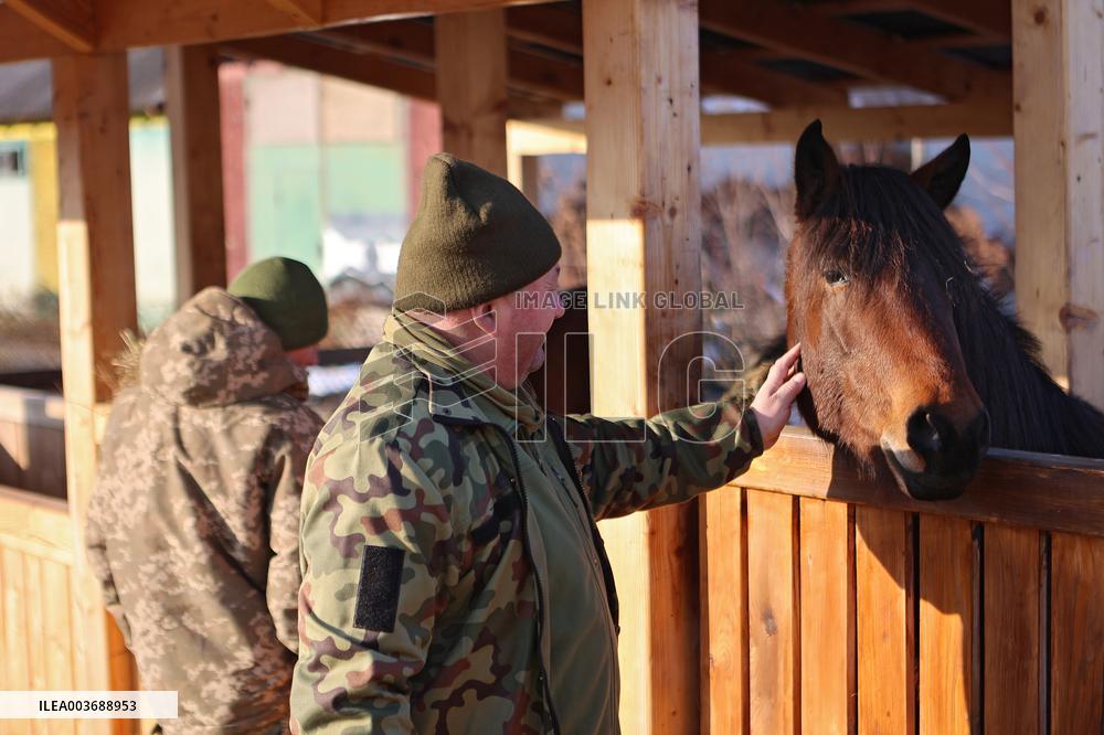 Hutsul ponies help with rehabilitation of Ukrainian military