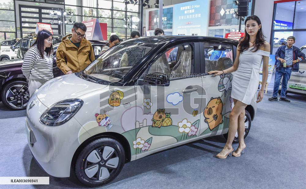2024 ASEAN International Auto Show in Nanning