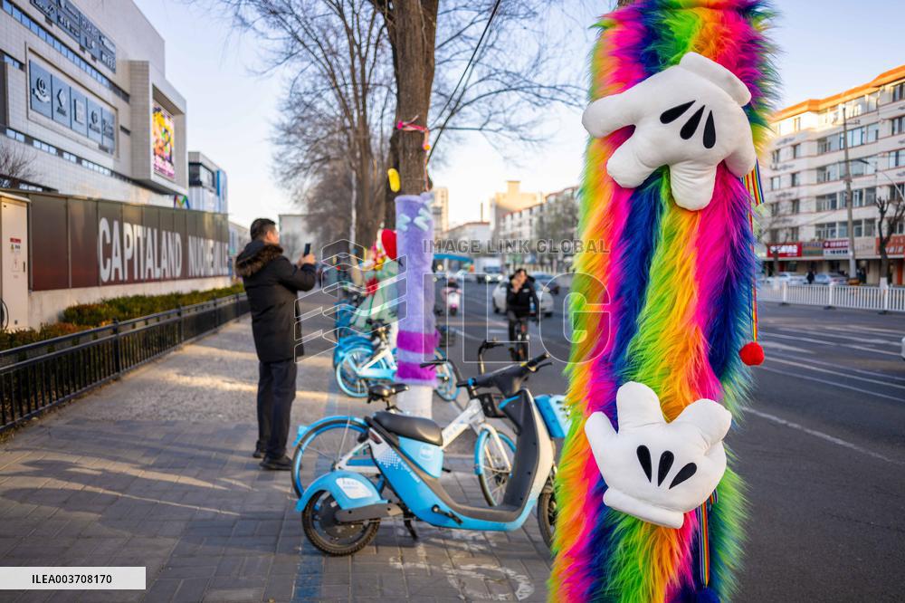 Trees Keep Warm in Winter