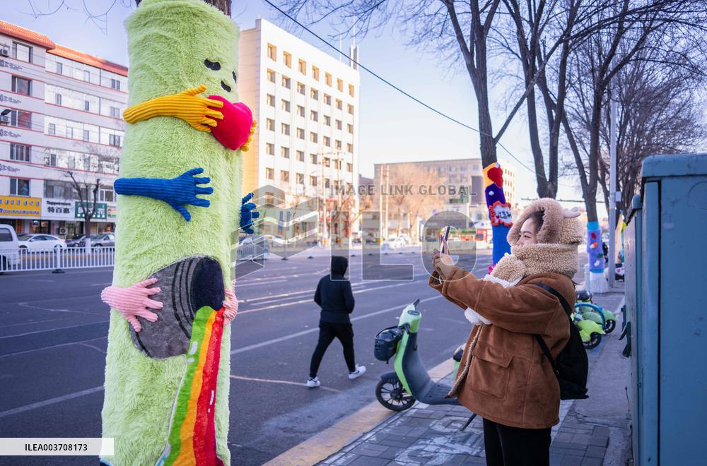 Trees Keep Warm in Winter
