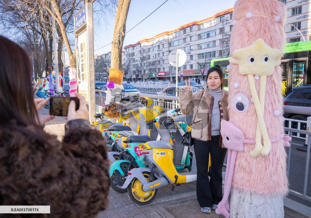 Trees Keep Warm in Winter