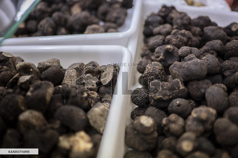 Rungis International Market - Rungis