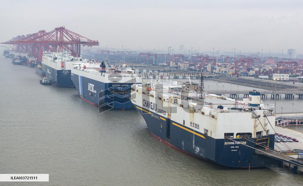 Yangtze River Largest ro-ro Vehicle Terminal Put into Operation