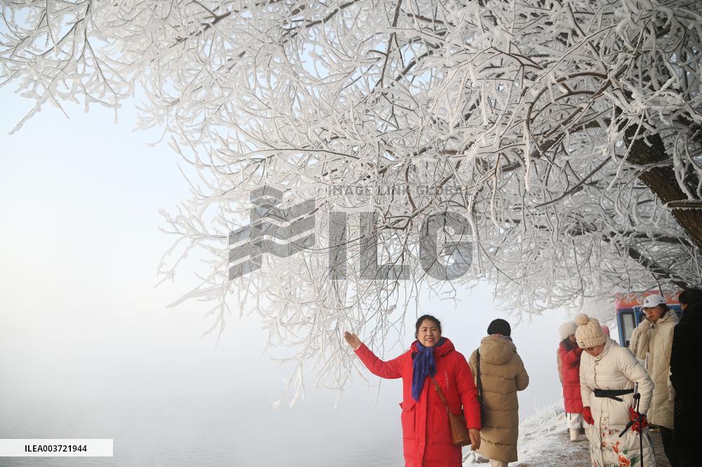 Rime Landscape in Jilin