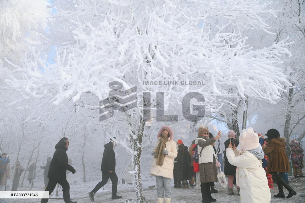 Rime Landscape in Jilin