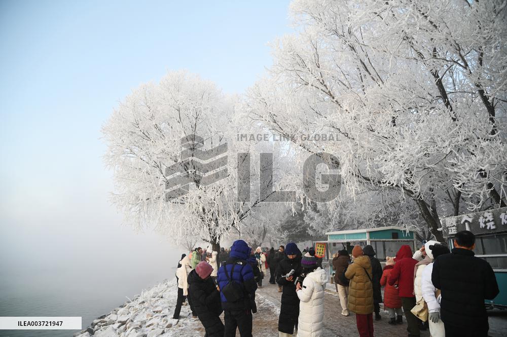 Rime Landscape in Jilin