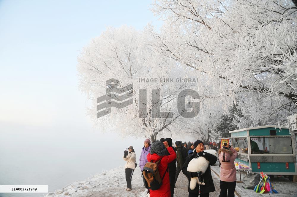 Rime Landscape in Jilin