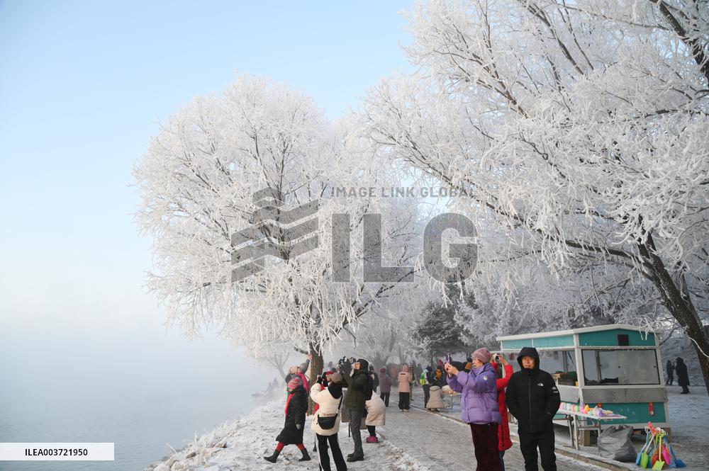 Rime Landscape in Jilin