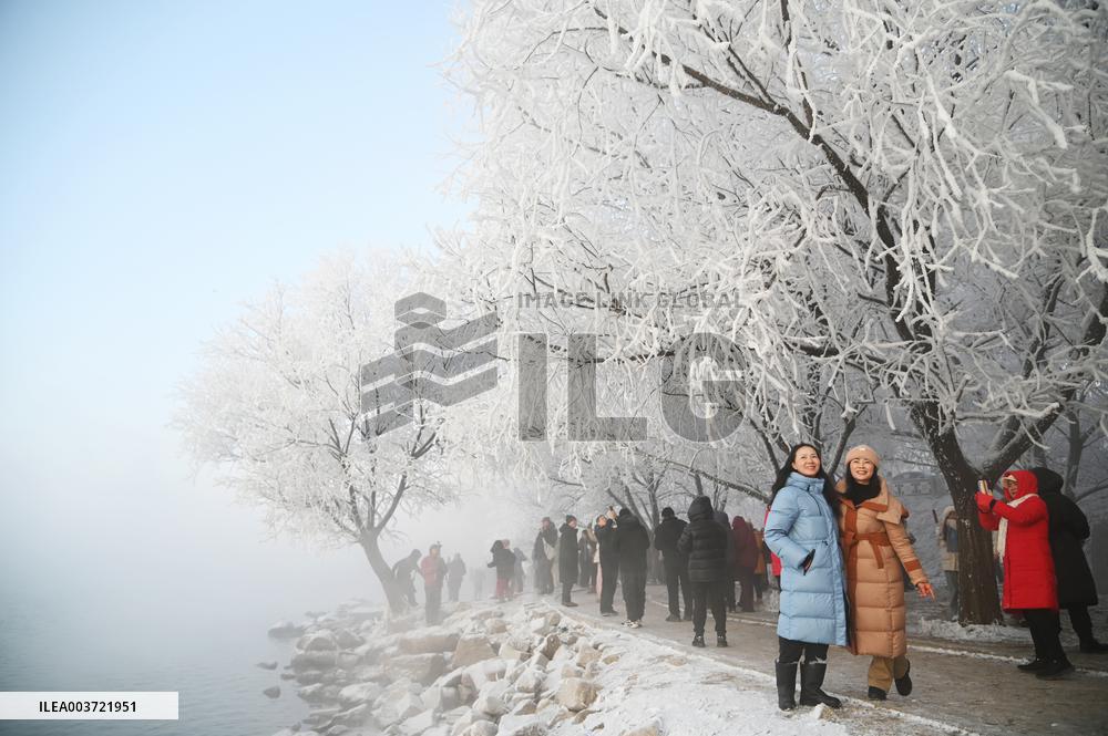 Rime Landscape in Jilin