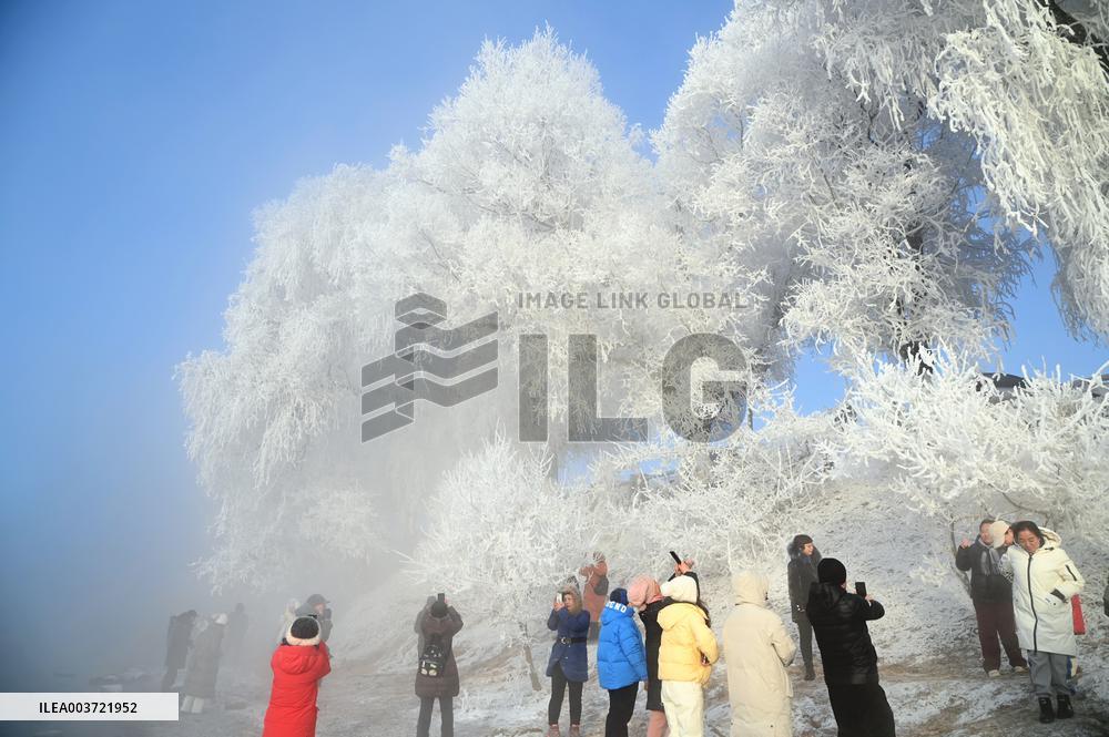 Rime Landscape in Jilin