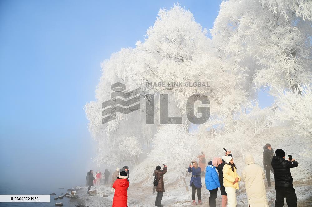 Rime Landscape in Jilin